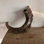 Buffelhoorn wanddecoratie, Verzenden