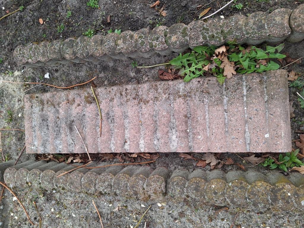 GRATIS 24 palissade banden, Tuin en Terras, Tegels en Klinkers, Ophalen, Gebruikt, Beton