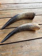 2 hoorns bieden, Ophalen of Verzenden, Gebruikt