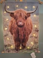 Canvas Schilderij met Verlichting - Schotse Hooglander, 50 tot 75 cm, Nieuw, Ophalen of Verzenden, Schilderij