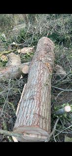 Haardhout tamme kastanje, Tuin en Terras, Haardhout, Minder dan 3 m³, Ophalen, Overige houtsoorten, Stammen