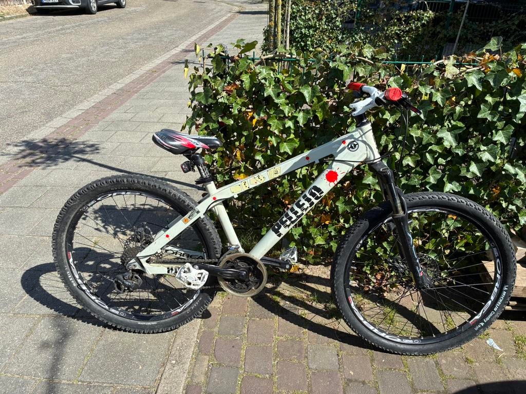 Moutainbike, Fietsen en Brommers, Fietsen | Mountainbikes en ATB, Ophalen, Gebruikt, Heren, Overige merken