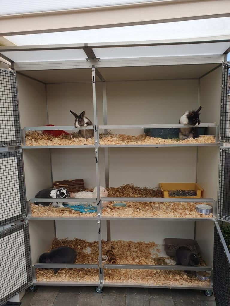 Konijnen en Cavia Pension / Vakantieopvang