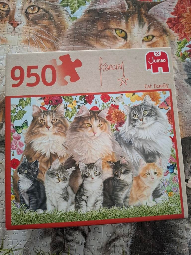 Puzzel katten, Ophalen, 500 t/m 1500 stukjes, Zo goed als nieuw