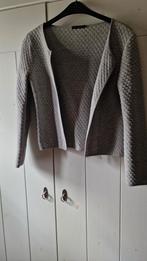 Vest/jasje  mt S, Ophalen of Verzenden, Zo goed als nieuw, Maat 36 (S), Grijs
