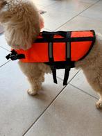 honden zwemvest voor kleine hond, Ophalen of Verzenden, Nieuw