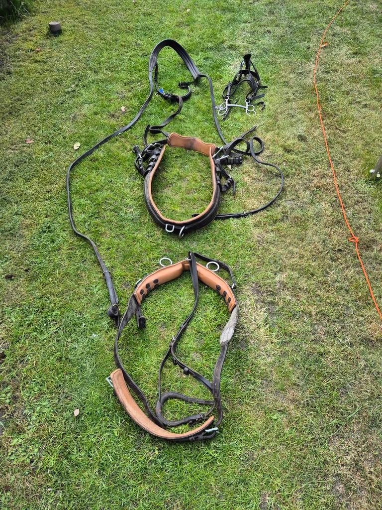Spantuig enkelspan - Compleet tuig voor paard of pony, Dieren en Toebehoren, Ophalen, Gebruikt, Overige soorten