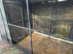 Aluminium volière , 4 meter bij 1,40, Dieren en Toebehoren, Knaagdieren en Konijnen | Hokken en Kooien, Ophalen, Gebruikt