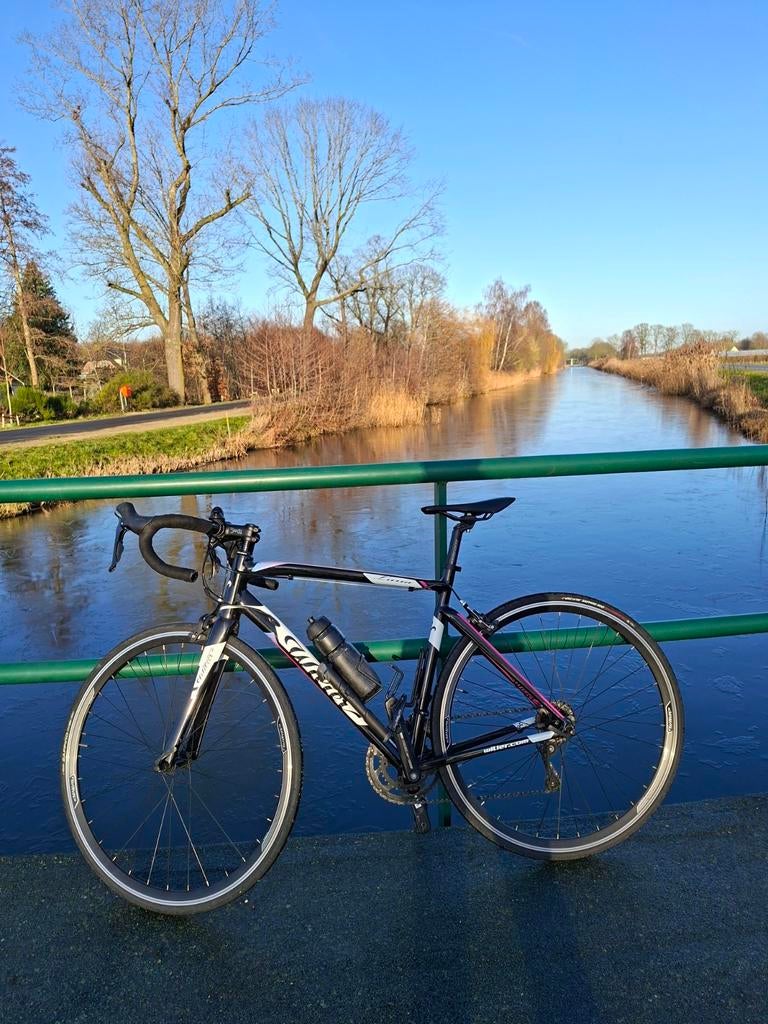 Wilier Triestina Luna dames racefiets - Maat M, Overige merken, Gebruikt, Aluminium, Ophalen of Verzenden