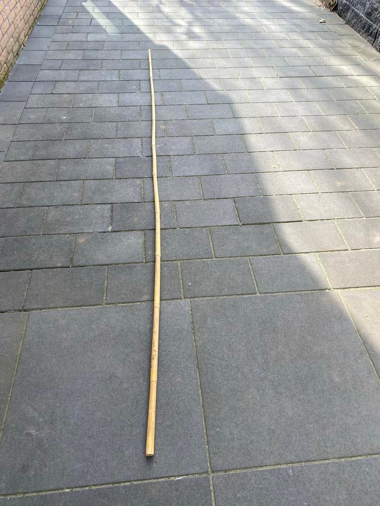 Stevige bamboe stok voor diverse toepassingen, Tuin en Terras, Ophalen, Bloeit niet, Overige soorten, Halfschaduw