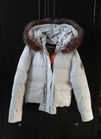 Maat 40 Superdry Everest Ella bomber Jas nieuw met kaartjes, Maat 38/40 (M), Superdry, Nieuw, Ophalen of Verzenden