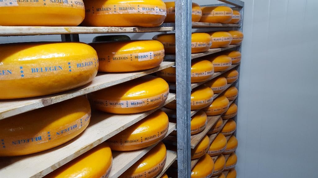 Veel Goudse kazen voor een nette prijs ! profiteer ervan, Ophalen of Verzenden