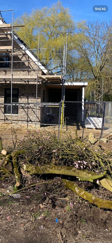 Gratis takken magnoliaboom (paasvuur), Ophalen of Verzenden