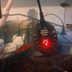 10 platty 1 guppy gratis, Ophalen