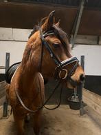 Bijrijder/verzorger aangeboden