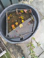 Waterlelie Nymphaea mix trio, Ophalen