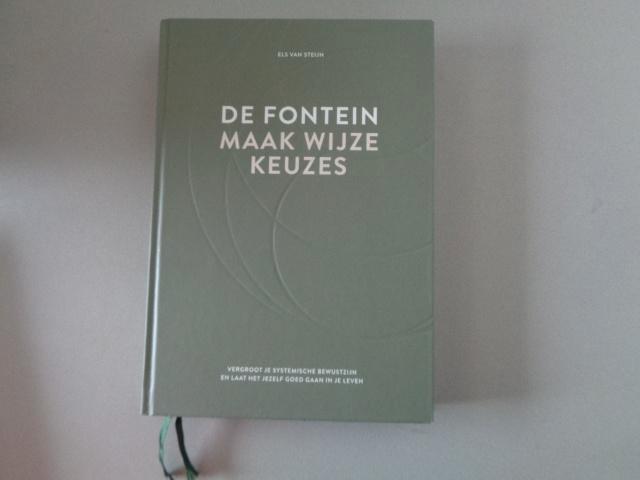 De Fontein maakt wijze keuzes - Els van Steijn, Boeken, Psychologie, Zo goed als nieuw, Persoonlijkheidsleer, Ophalen of Verzenden