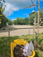 Paardenstalling Benschop, Weidegang