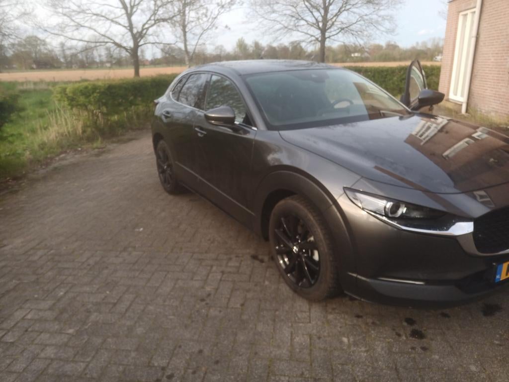 Mazda CX-30 E-skyactiv X 186pk Aut 2021 Grijs 271000km, 1998 cc, Bruin, Parkeerassistent, SUV of Terreinwagen
