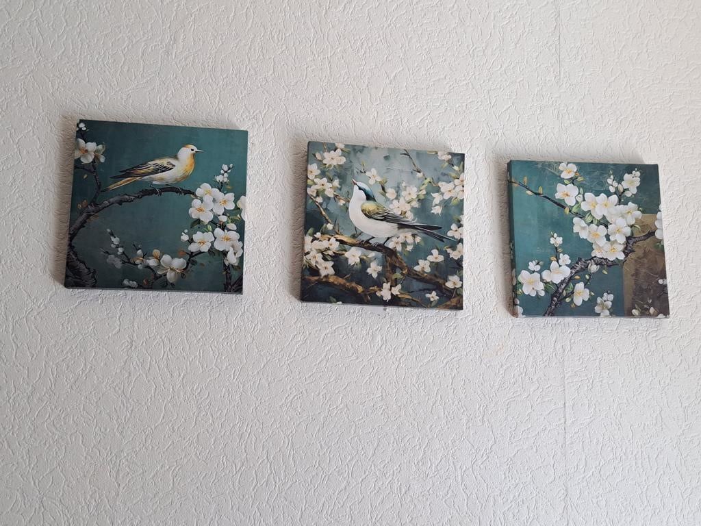 3 vogel afbeelding schilderijtjes zgan, Ophalen, Minder dan 50 cm, Zo goed als nieuw, Schilderij