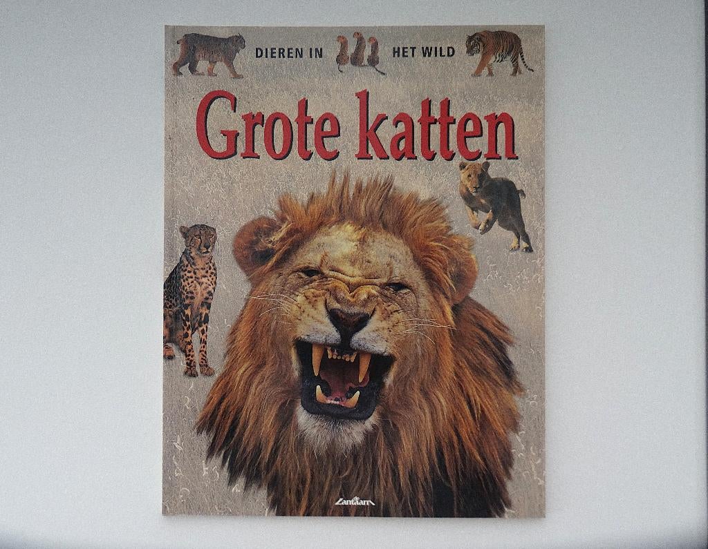 Boek Grote Katten ~ Dieren in het wild, in nieuwstaat, Ophalen of Verzenden, Nieuw, Overige onderwerpen
