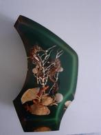 Epoxy Beeld echte Schelpen kleur Zwart H22 B13 D7 CM ., Antiek en Kunst, Ophalen of Verzenden