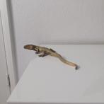 Vintage brons salamander 21 cm, Ophalen of Verzenden