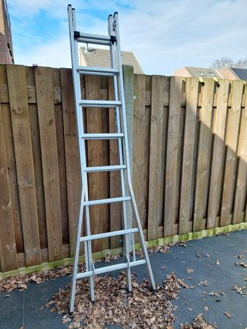 Dirks ladder 