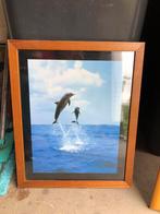 Mooie lijst, Ophalen, Minder dan 50 cm, 50 tot 75 cm, Zo goed als nieuw