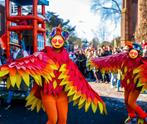 Grote loopgroep, 38 vogelpakken, Kleding | Dames, Carnavalskleding en Feestkleding, Ophalen, Gedragen, Carnaval, Kleding