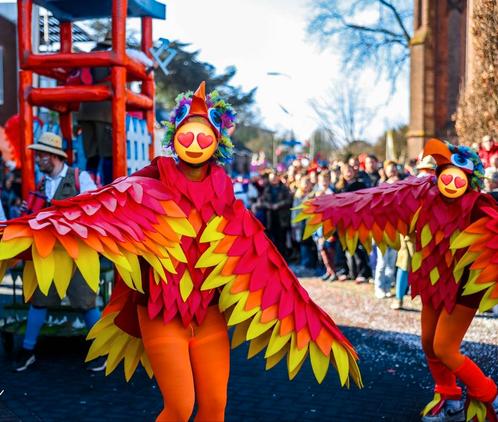 Grote loopgroep, 38 vogelpakken, Kleding | Dames, Carnavalskleding en Feestkleding, Gedragen, Kleding, Carnaval, Ophalen