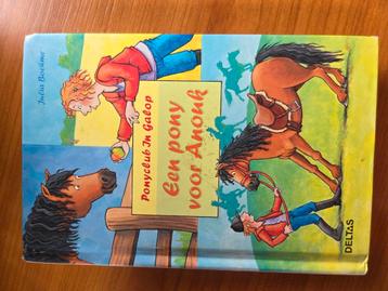 Julia Boehme - Een pony voor Anouk beschikbaar voor biedingen
