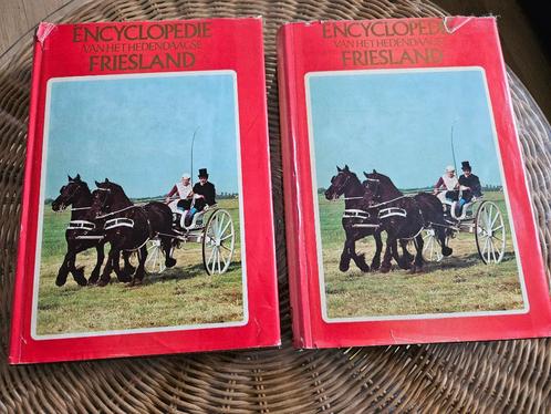 Encyclopedie van het hedendaagse Friesland, 1975, Boeken, Geschiedenis | Stad en Regio, Gelezen, 20e eeuw of later, Ophalen of Verzenden