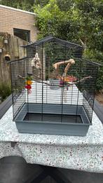 Ruime vogelkooi compleet, Ophalen, Gebruikt, Metaal, Vogelkooi