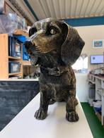 Teckel brons zittend deco groot, Ophalen of Verzenden, Nieuw, Kunststof, Dierenbeeld