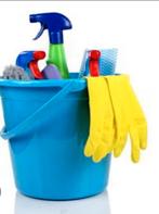 Huishoudelijke hulp en sportmaatje gezocht ( vrouw), Overige vormen