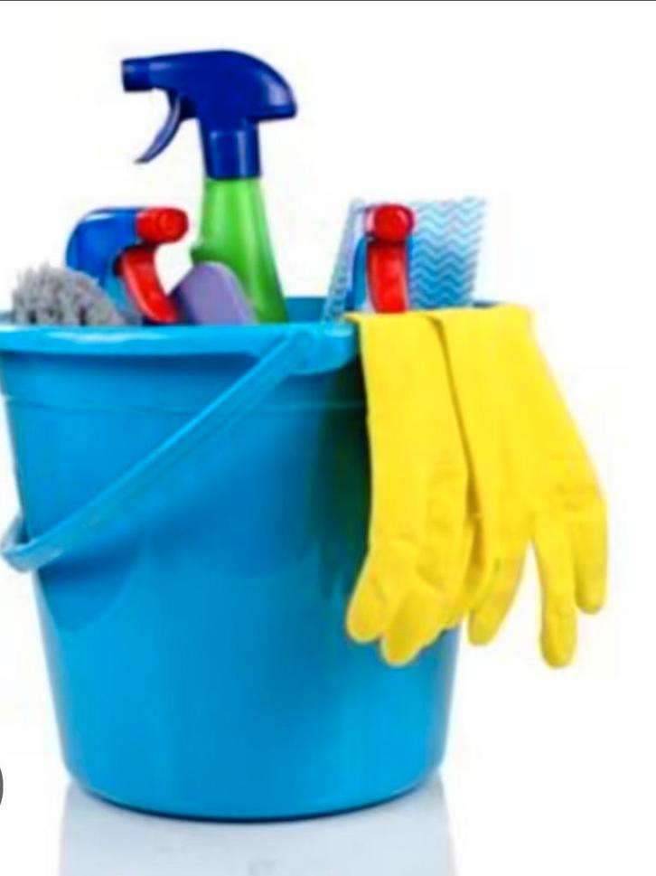 Huishoudelijke hulp en sportmaatje gezocht ( vrouw), Vacatures, Vacatures | Schoonmaak en Facilitaire diensten, Overige vormen