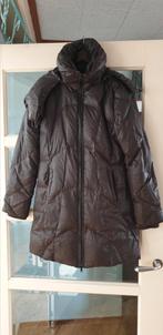Nette bruine Just-B winterjas dons vulling maat 40, Maat 38/40 (M), Bruin, Ophalen of Verzenden, Zo goed als nieuw
