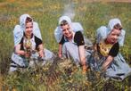 drie meisjes in Zeeuwse klederdracht - nieuw, Verzenden, 1980 tot heden, Ongelopen, Klederdracht