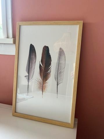 Schilderij 3 veren incl lijst beschikbaar voor biedingen