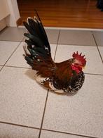 Te koop trio porselein chabo krielen., Dieren en Toebehoren, Pluimvee, Meerdere dieren, Kip