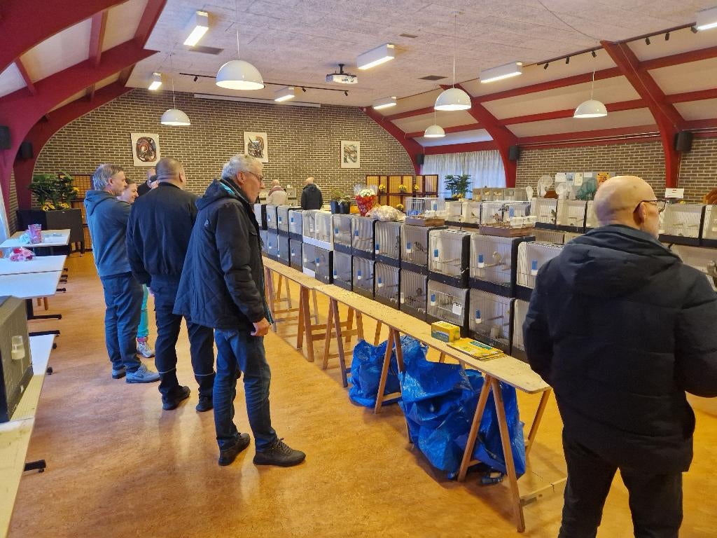 Vogelruilbeurs, Meerdere dieren, Tropenvogel, Geringd