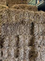 Tarwe stro, Ophalen, Vee
