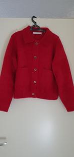 Nieuw Rino en Pelle Bubbly vest /  Zara vest, Kleding | Dames, Truien en Vesten, Maat 38/40 (M), Nieuw, Rino en Pelle, Ophalen of Verzenden