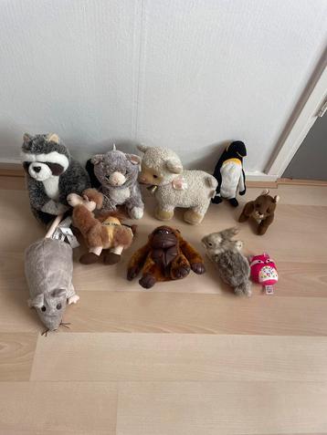 Nog 9 zo goed als nieuwe Knuffels beschikbaar voor biedingen