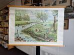 Schoolplaat: In de Weide, Ophalen, Natuur en Biologie