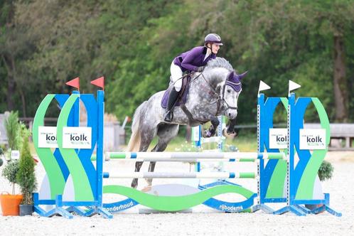 Gediplomeerde instructie aangeboden!, Dieren en Toebehoren, Paarden en Pony's | Overige Paardenspullen, Nieuw, Ophalen