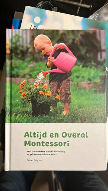 Altijd en Overal Montessori - Esther Pelgrom - Pabo lesboek  beschikbaar voor biedingen