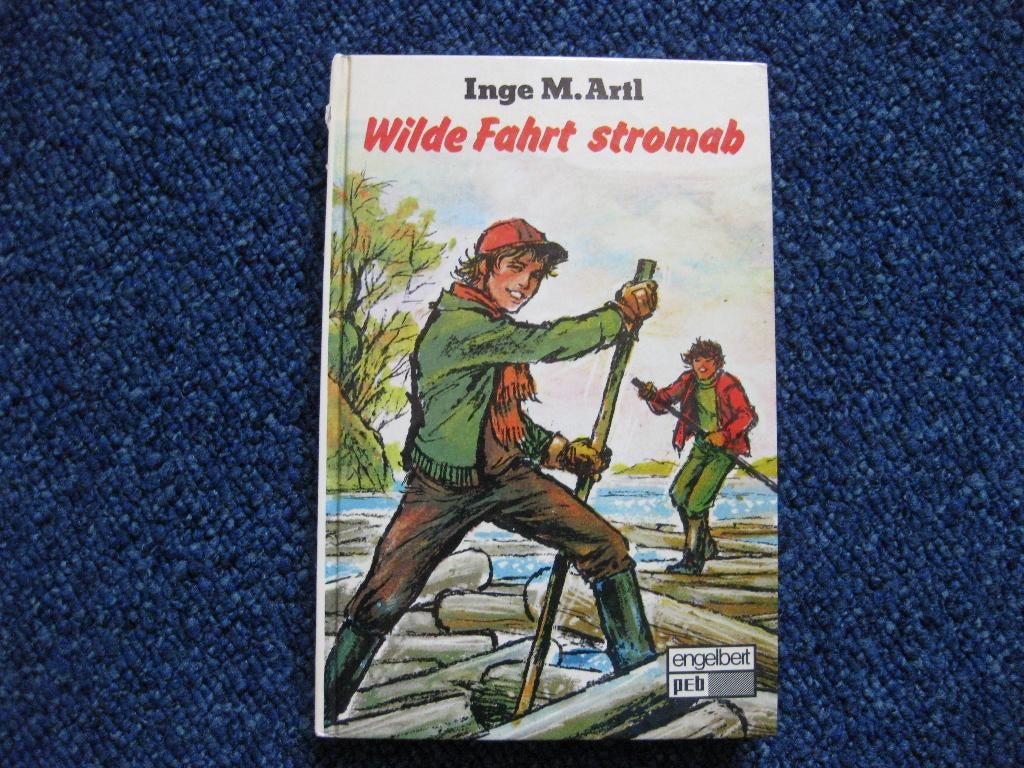 Boek Wilde Fahrt stromab Duits, Ophalen of Verzenden, Zo goed als nieuw, Inge m. Artl, Fictie
