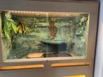 Schitterend 3-delig Terrarium, Dieren en Toebehoren, Reptielen en Amfibieën, Overige soorten, Met terrarium, 3 tot 6 jaar